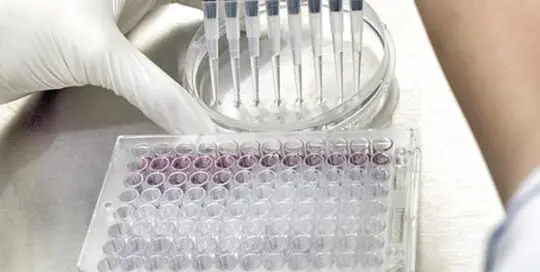 How Does the EU IVDR Impact the IVD Industry? EU IVDR Key Changes