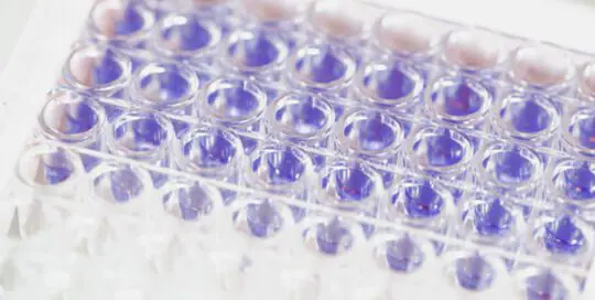 eCTD Modules and Formats Explained