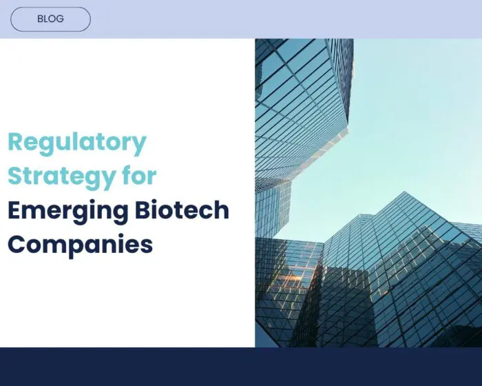 The Most Expensive Mistakes in Biotech Are Often Regulatory, Not Scientific