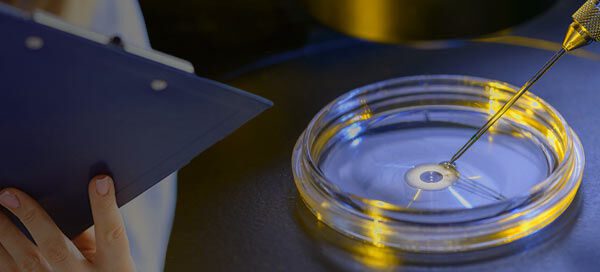 Notified Bodies Under EU IVDR