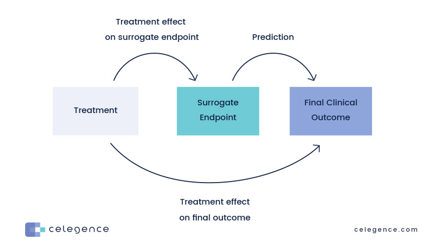 Surrogate End Points - Device Claims Transcript