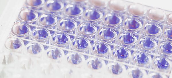 eCTD Modules and Formats Explained