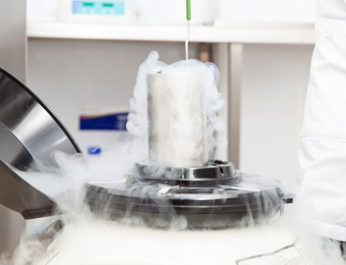 MDR Gap Analysis – Specimen Management System: Reproductive Medicine