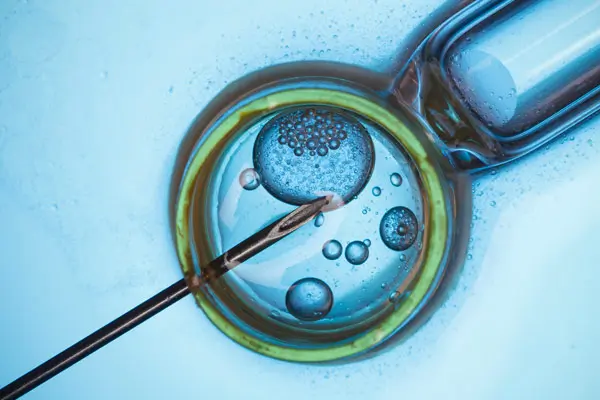 Centre of Excellence Model to Streamline Nonclinical Data Processing and Presentation in Contributor Reports