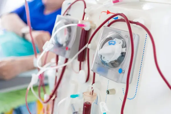 Regulatory Consultation & Documentation for Blood Flow Measurement Meters