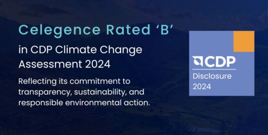 Celegence Achieves Grade B in 2024 CDP Climate Assessment