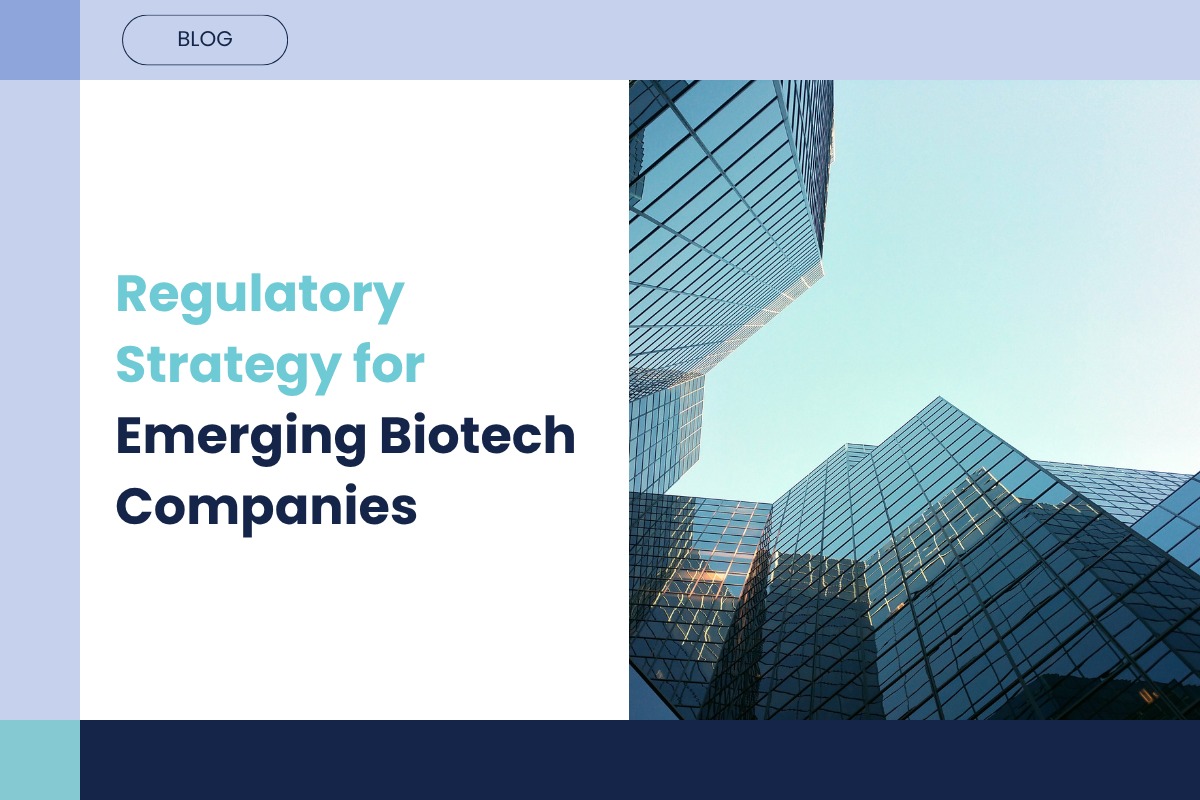 The Most Expensive Mistakes in Biotech Are Often Regulatory, Not Scientific